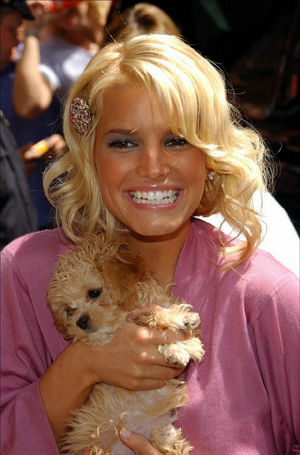 Jessica-Simpson-carrying-her-dog.jpg