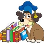 What to look for when choosing a Dog School