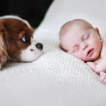 dog and newborn baby