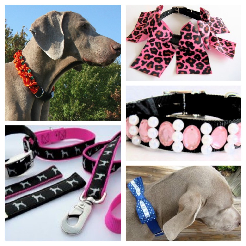 The 10 Coolest Dog Accessories You Should Have - Pet Paw