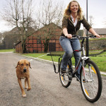 Running and Biking Dogs