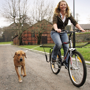 Running and Biking Dogs