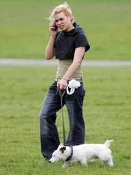 Billie Piper owns a Dog Jack Russell Terrier