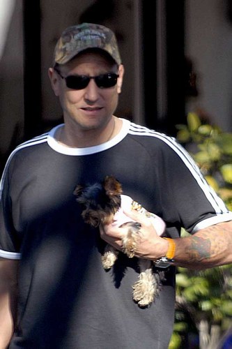 Vinnie Jones Pet - Jack Russell Terrier 2