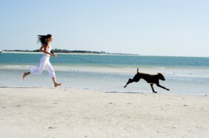 dog exercise on beach