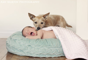 dog and newborn baby